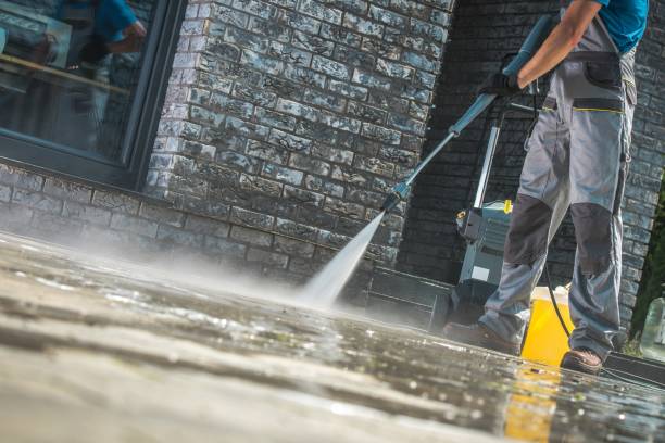 Animal Enclosure Cleaning in Zephyrhills West, FL